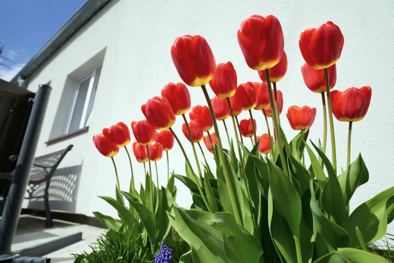 Apartamenty Na Szlaku Giżycko Esterno foto
